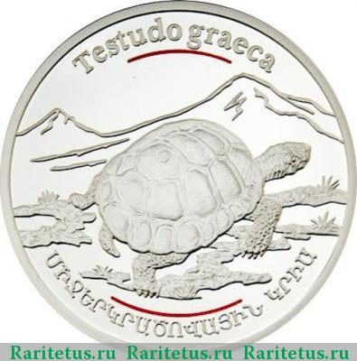 Реверс монеты 100 драмов 2006 года   proof