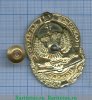 Знак Волжского казачьего войска 1995 года, Российская Федерация